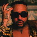 bodega bamz