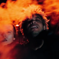 Crack Ignaz Wandl