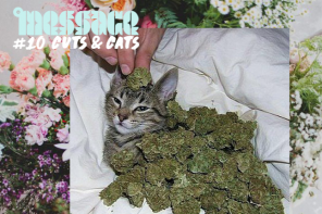 The Message Mixtape #10 “Cuts & Cats” (Special Guest: Nimo)