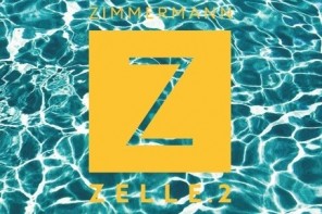 Zimmermann hämmert ordentlich // Download