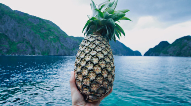 Die Ananas weist dir den Weg // Jahresvorblick 2018